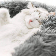 Afbeelding in Gallery-weergave laden, MrFluffyFriend® - Anti Angst Kattenmand