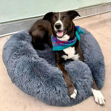 Afbeelding in Gallery-weergave laden, MrFluffyFriend® - Anti Angst Hondenmand