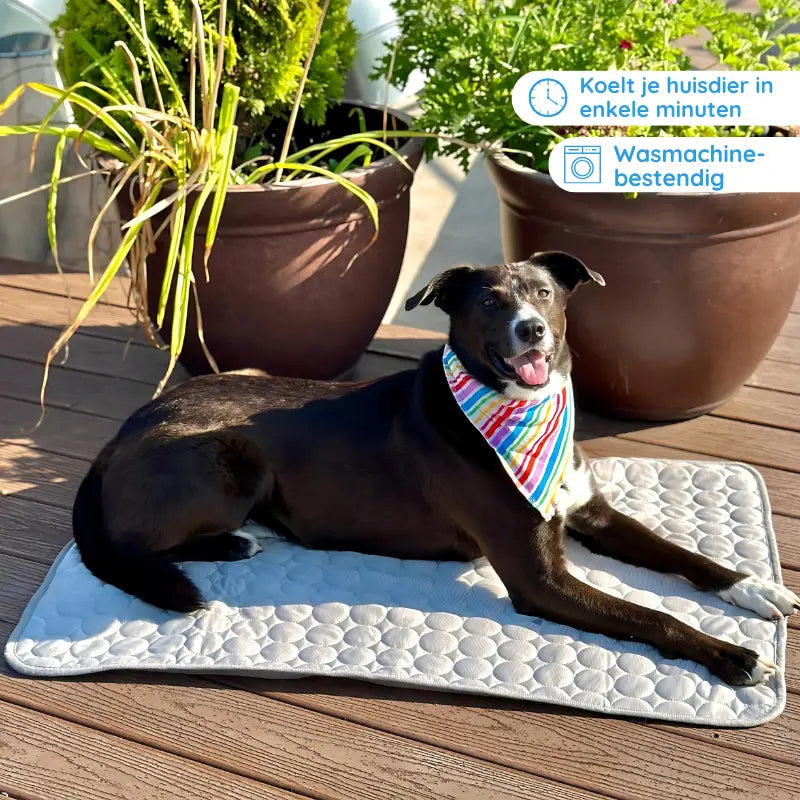 MrFluffyFriend™ - Koelmat voor Honden