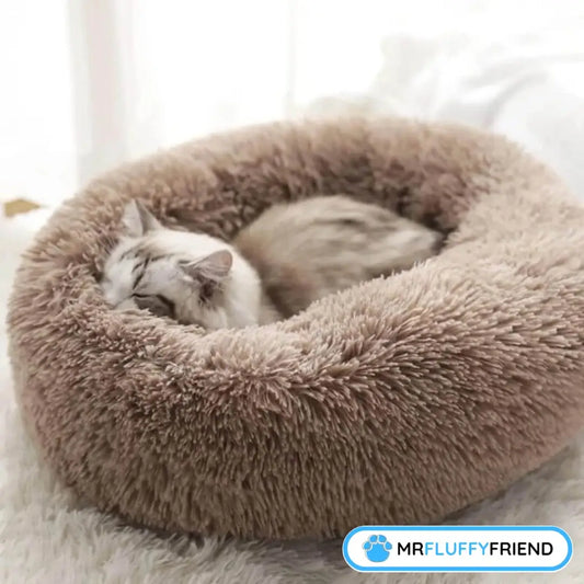 Pluizige kat die vredig slaapt in een knus rond beige kattenmandje, passend bij het onderwerp ‘Hebben katten nare dromen?’