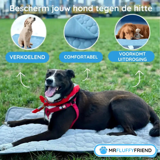Blije hond op een MrFluffyFriend-koelmat die laat zien hoe een koelmat voor honden werkt om hyperthermie bij honden te helpen voorkomen