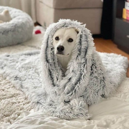 MrFluffyFriend® - Fluffy Deken Voor Honden En Katten
