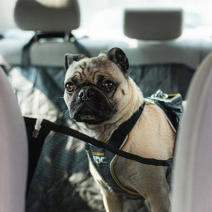 MrFluffyFriend™ - Autostoelhoes voor Honden