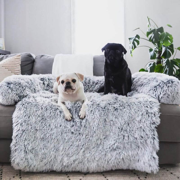 Zoomlie Zachte pluche hondenmat, bank, rustgevend hondenbed, ultrazachte vacht, huisdierbedden, zachte, wasbare bekleding, kussens, meubelbescherming, huisdierbed voor honden en katten, S, kaki Zoomlie Zachte pluche hondenmat, bank, rustgevend hondenbed, ultrazachte vacht, huisdierbedden, zachte, wasbare bekleding, kussens, meubelbescherming, huisdierbed voor honden en katten, S, kaki