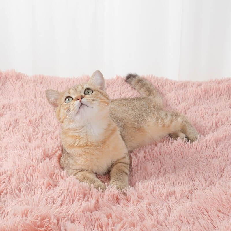 MrFluffyFriend™ - Fluffy Deken Voor Honden En Katten