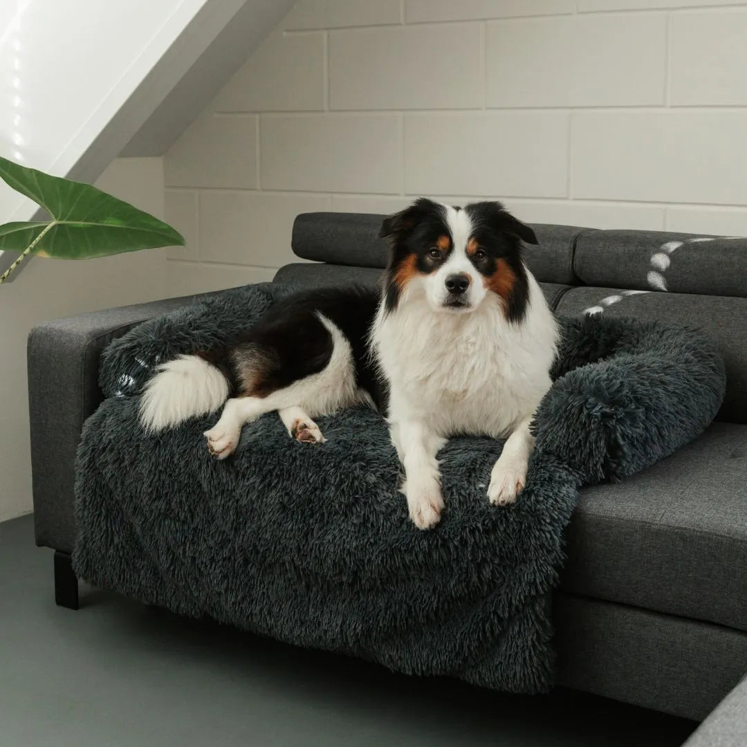 MrFluffyFriend® - Fluffy Bankbeschermer voor Honden en Katten