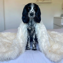 Afbeelding in Gallery-weergave laden, MrFluffyFriend™ - Fluffy Deken Voor Honden En Katten
