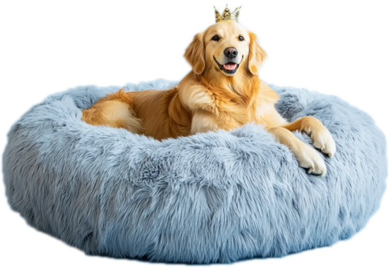 Dog resting on a fluffy pet bed