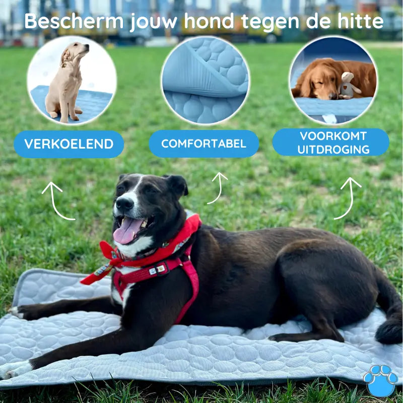 MrFluffyFriend™ - Koelmat voor Honden
