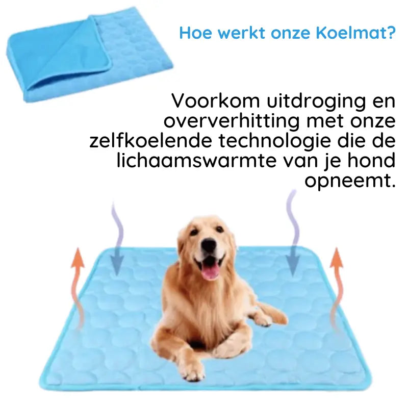 hoe werkt een koelmat voor honden