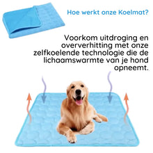 Afbeelding in Gallery-weergave laden, MrFluffyFriend™ - Koelmat voor Honden
