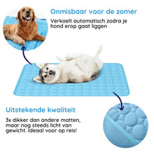 Afbeelding in Gallery-weergave laden, MrFluffyFriend™ - Koelmat voor Honden
