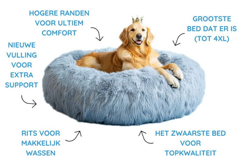 <b>5 redenen om te kiezen voor<b><br><em> de Koning der Fluffy Hondenmanden</em></b></b>