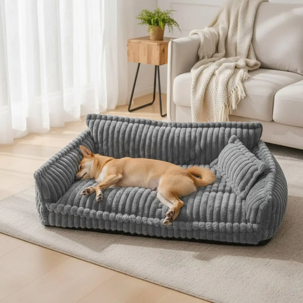 Wil jij je hond het comfort bieden dat hij of zij verdient?