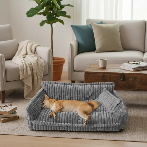 Waarom hondeneigenaren ervan houden: