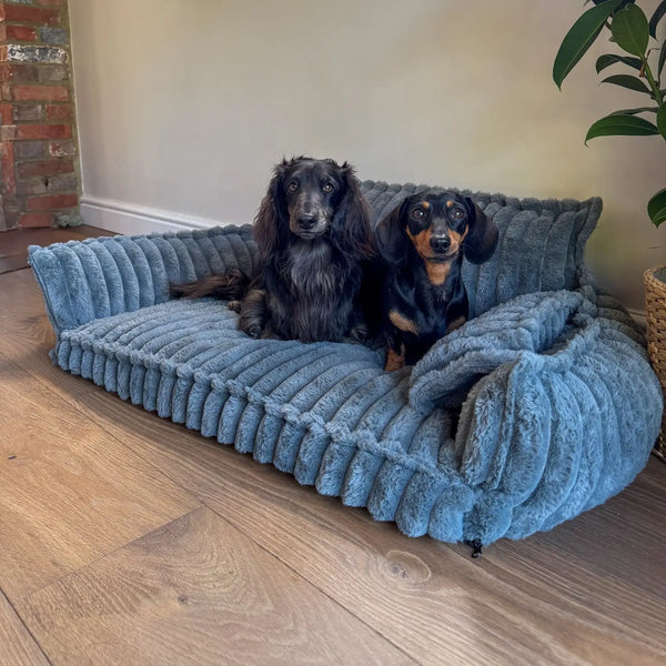 Wil jij je hond het comfort bieden dat hij of zij verdient?