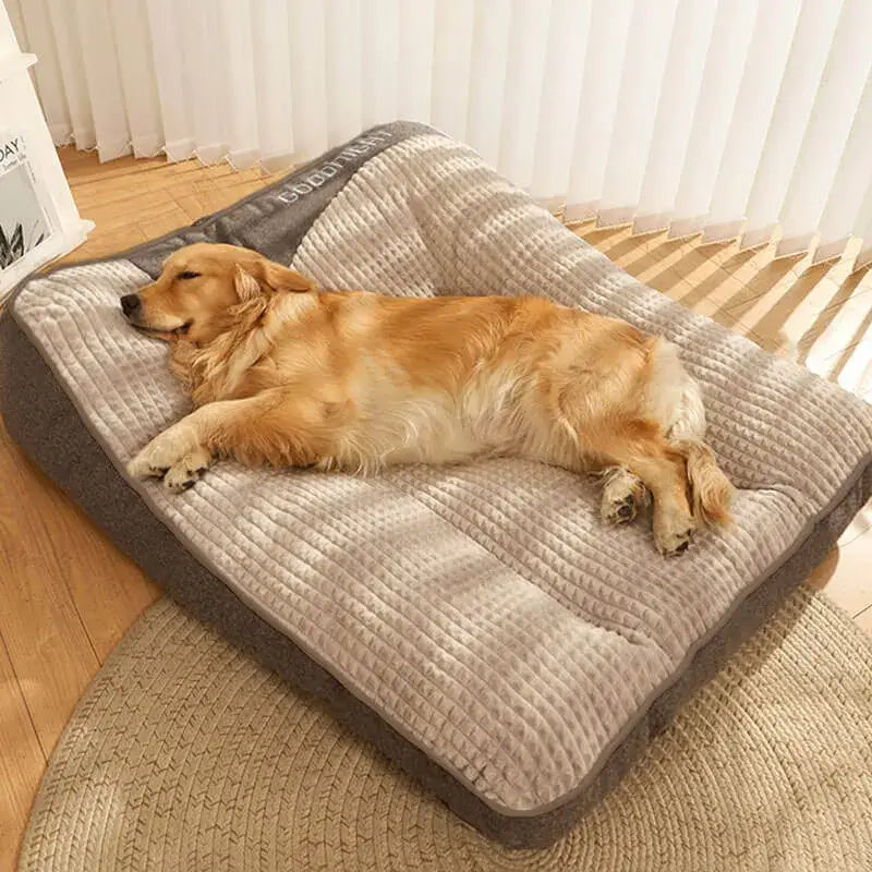 3 van de 4 Honden Slapen Verkeerd