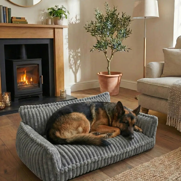 Waarom dit hondenbed in elk interieur thuishoort: