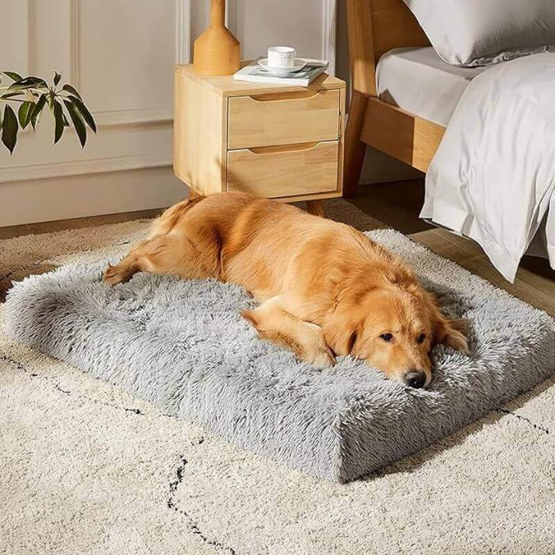 MrFluffyFriend™ - Orthopedisch Kussen voor Honden en Katten