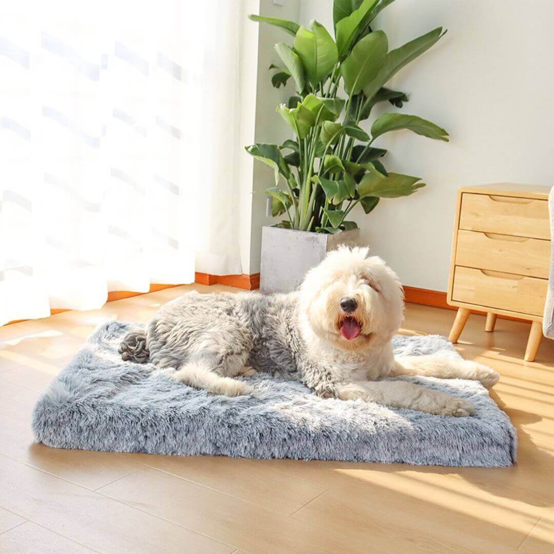 MrFluffyFriend™ - Orthopedisch Kussen voor Honden en Katten